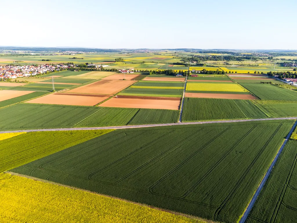 contrat-de-location-de-terrain