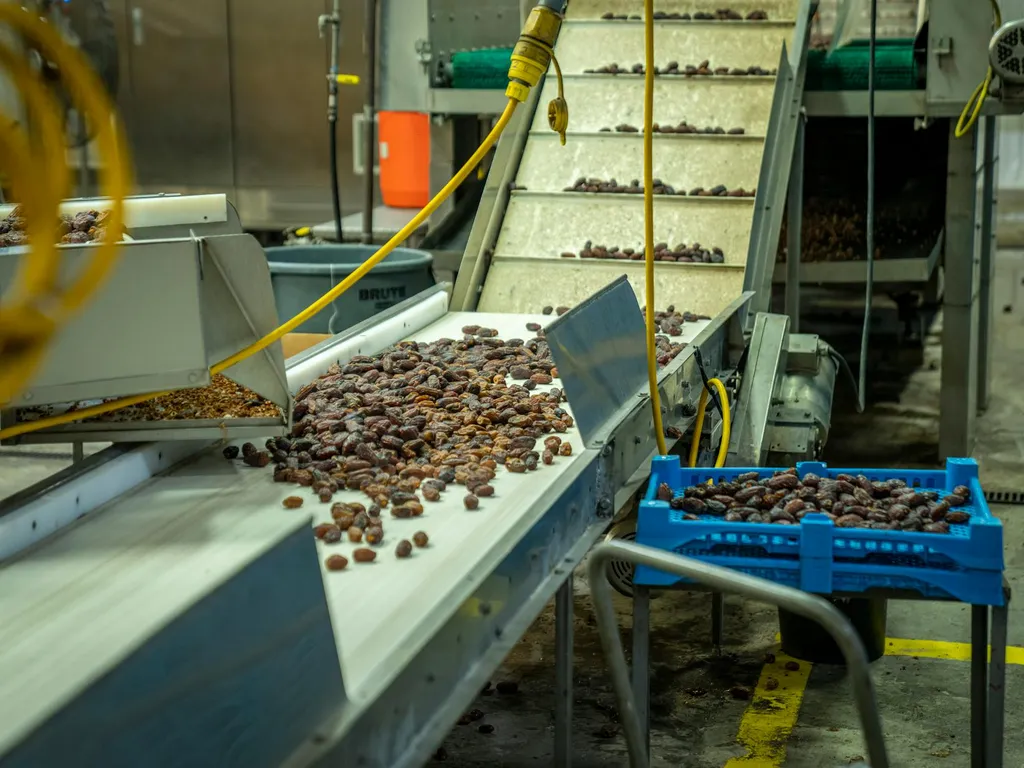 processus-de-verification-des-dates