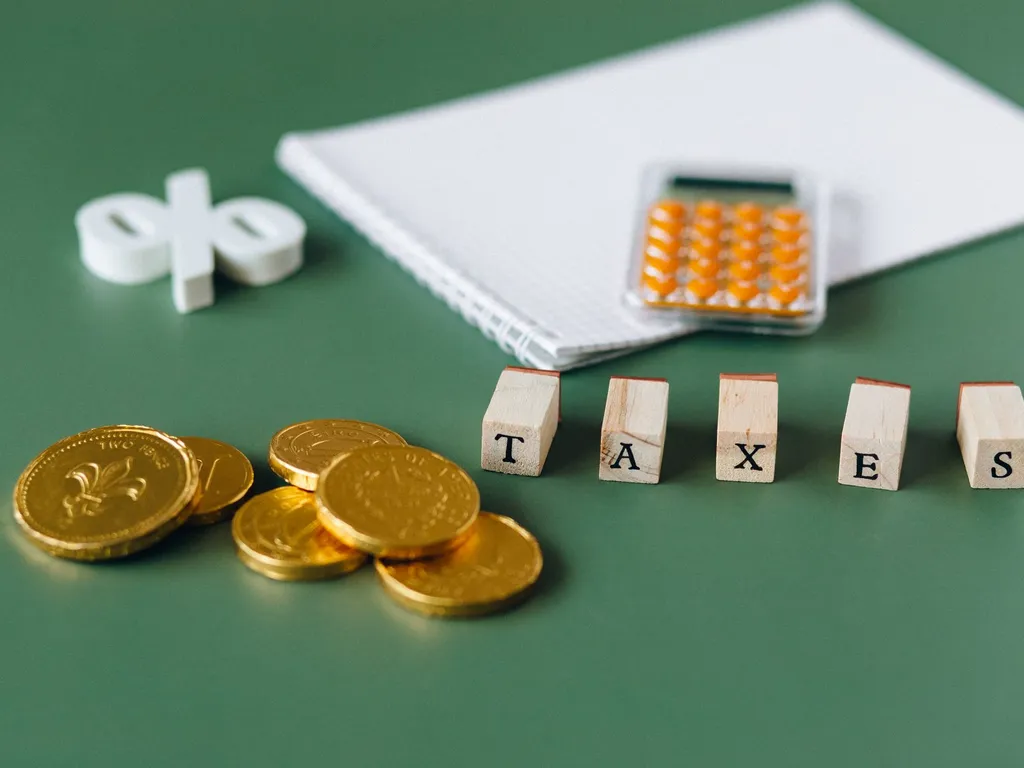 Exonération de taxe foncière : êtes-vous éligible, pour quel montant et quelles démarches faire ?